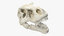 tyrannosaurus rex skul skull 3D