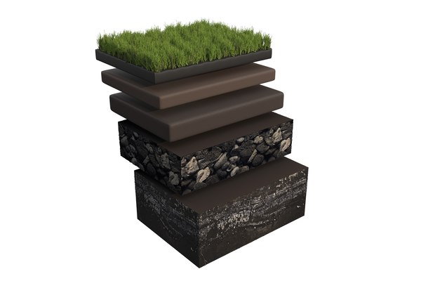 Cracking The Related Site On Buy Succulents Online Code