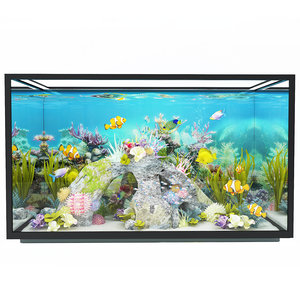 fishes aquarium 3D model