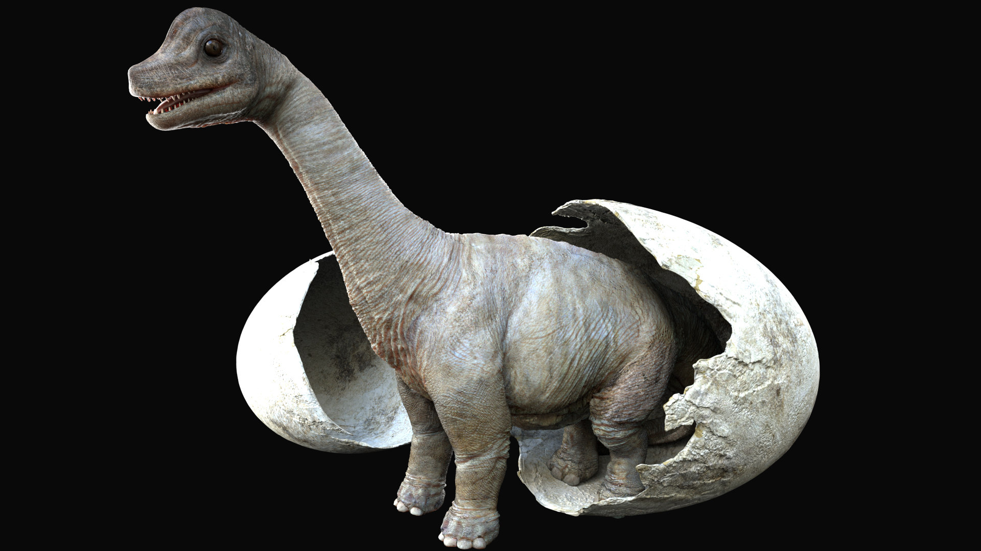 3d brachiosaurus