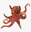 3D model shark octopus