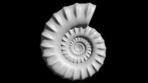 3D model serpenticone conch ornamented shell