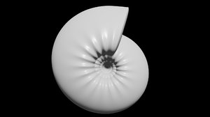 conch ornamented spherecone model