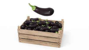 aubergine box 3D