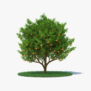 3D orange tree