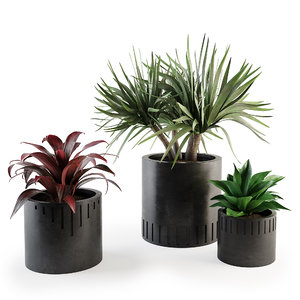 set plants 3D model