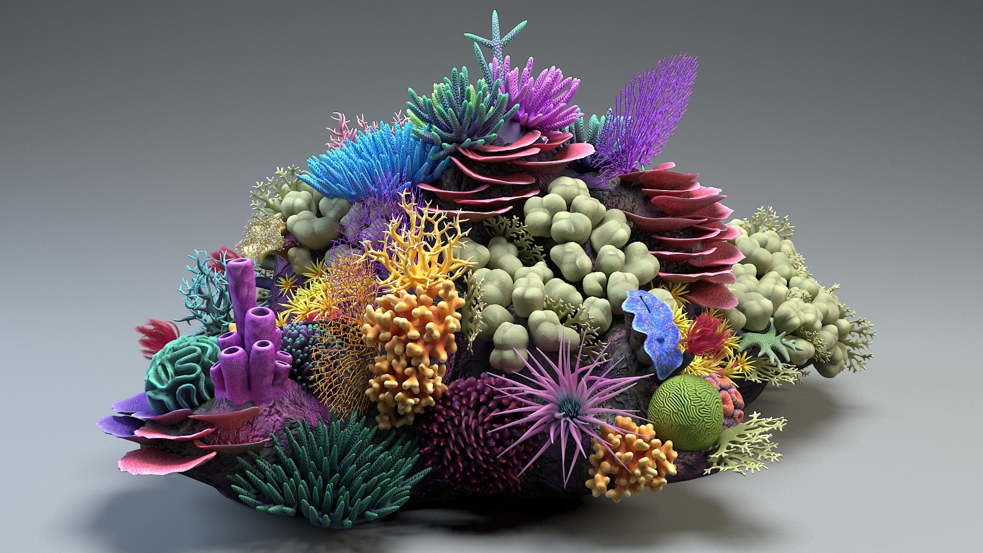 Coral Reef 01 3D - TurboSquid 1486307