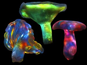 3D magic emitting fungi