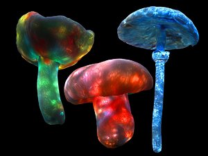 magic emitting fungi 3D model