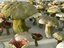 magic emitting fungi 3D model