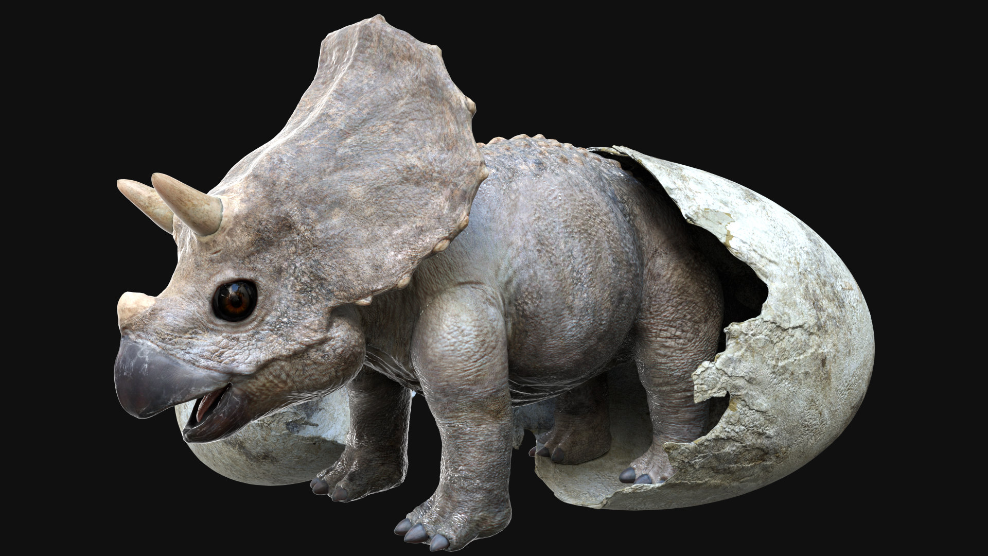 triceratops view in 3d