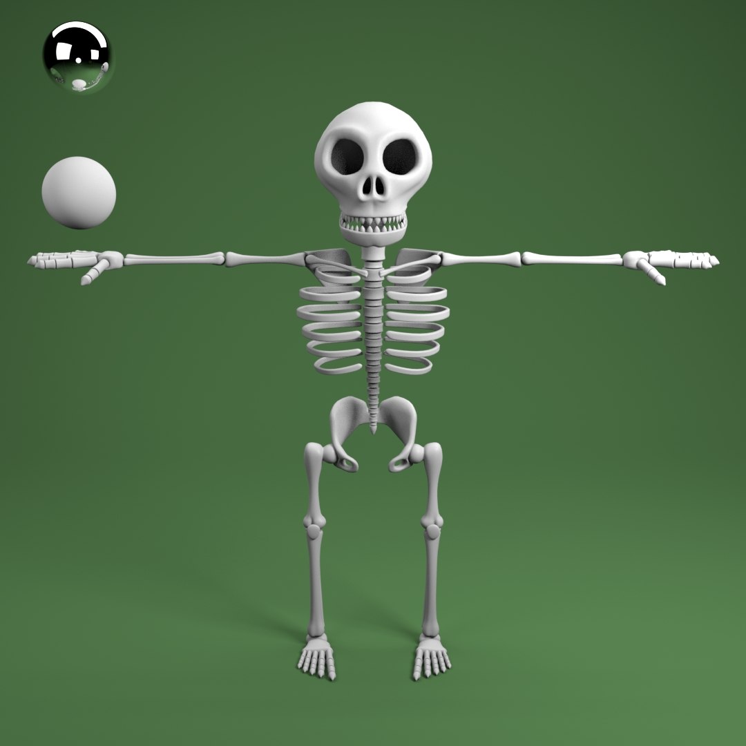 skeleton model drawing