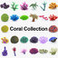 coral reef pack model