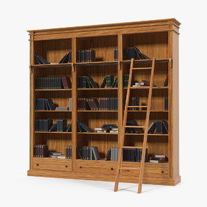 3D wood library bookcase books