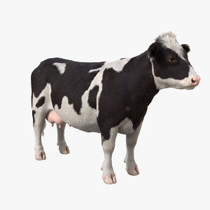 cow rig fur animation 3D model