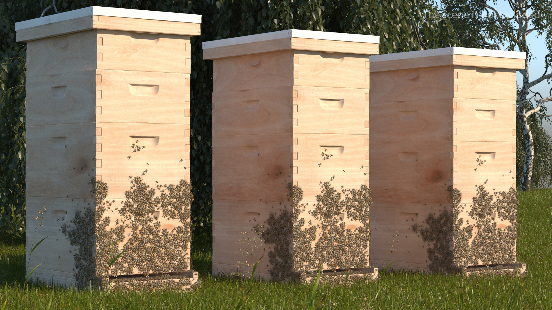 Wooden beehive brood box 3D model TurboSquid 1487937