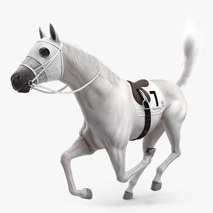 3D white racehorse horse fur