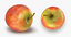 fruits 7 model