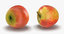 fruits 7 model