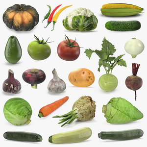 vegetables 2 3D model