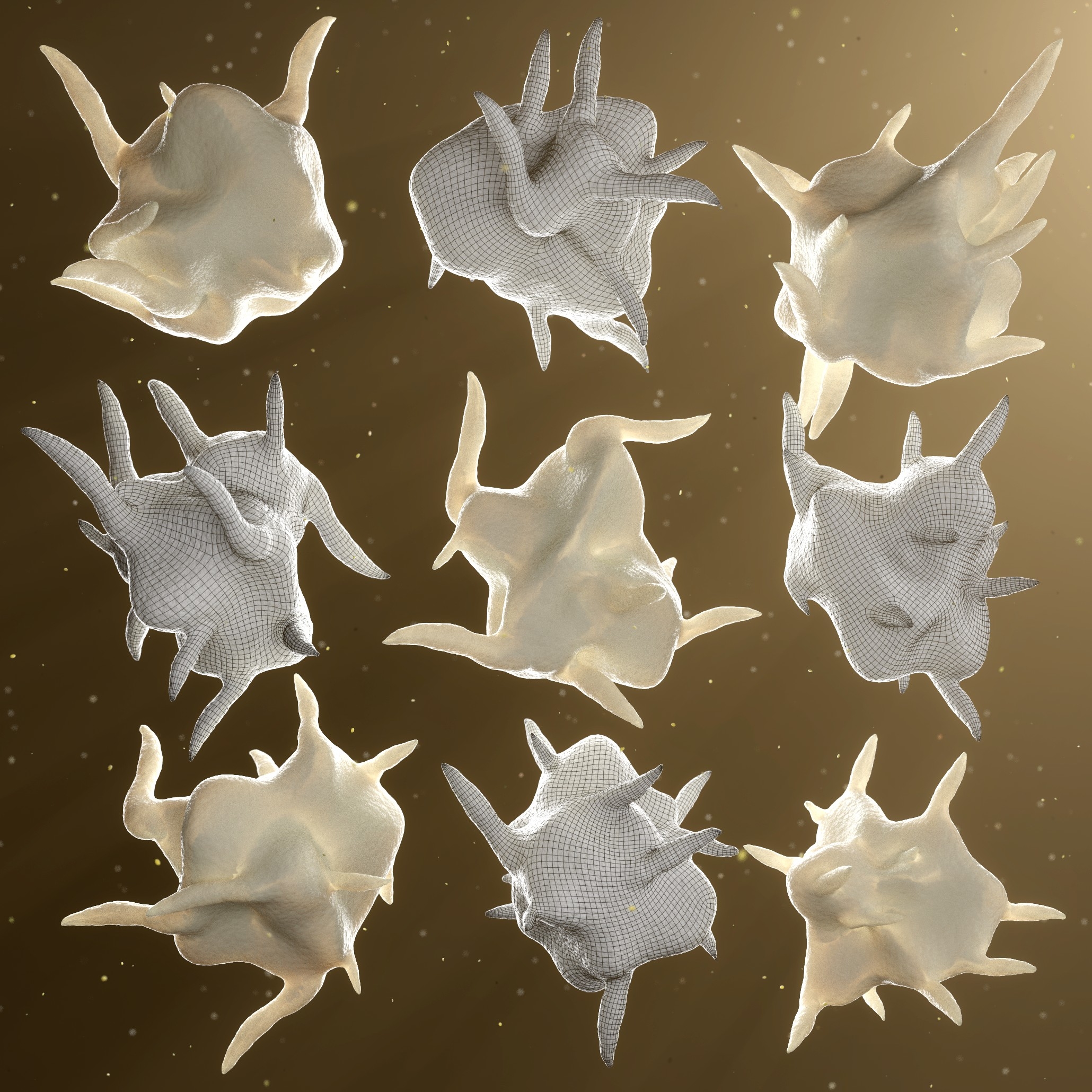 Thrombocyte 9 Platelet 3D Model TurboSquid 1487969
