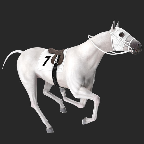 3D racehorse white horse rigged