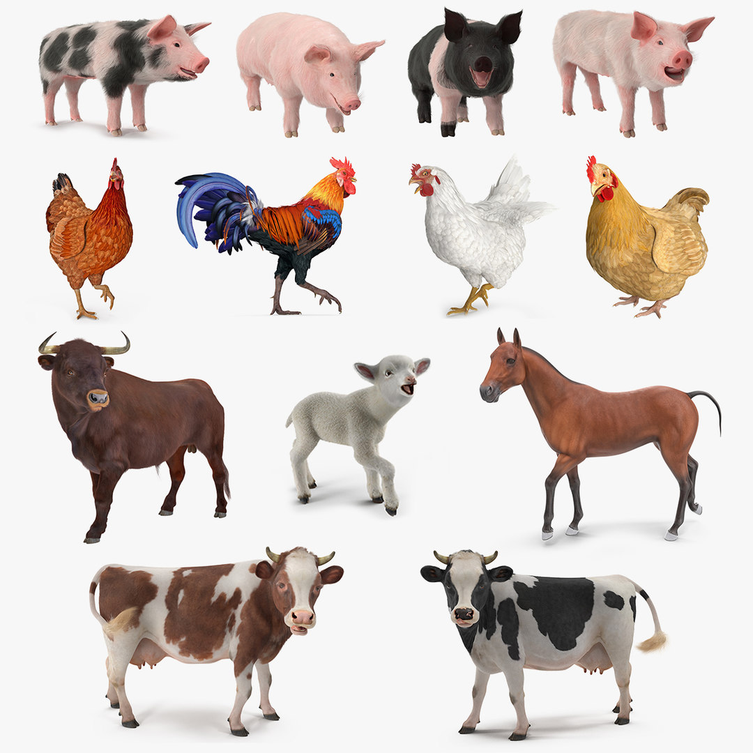 Rigged farm animals big 3D model - TurboSquid 1488074