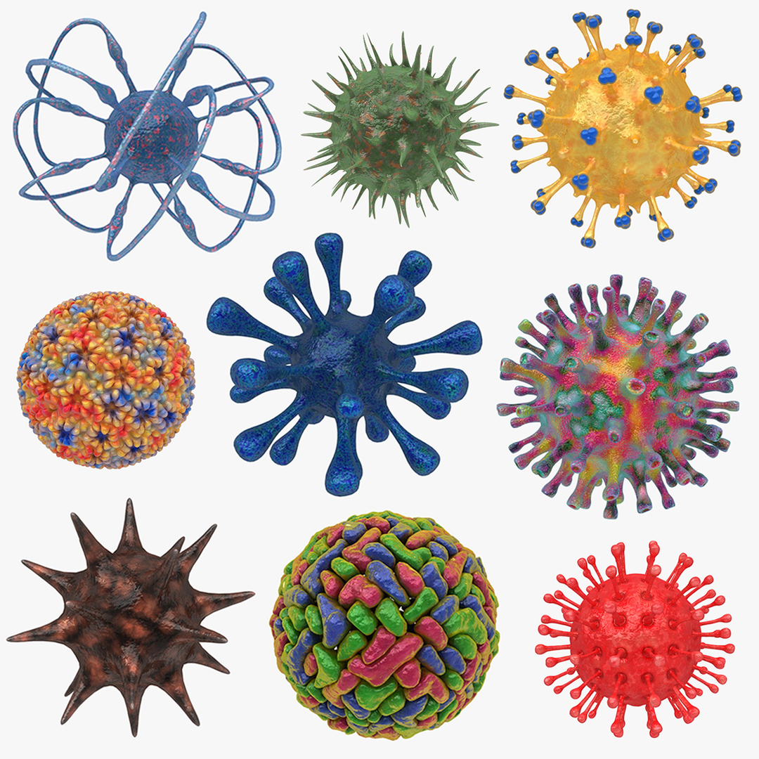 3d model virus set color 3