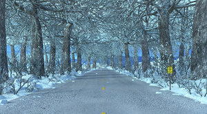 3D model road winter