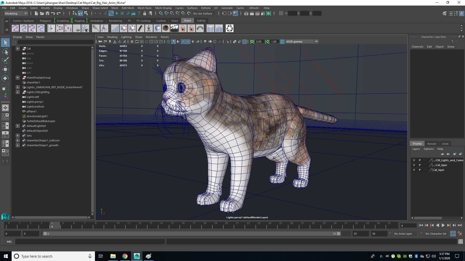 猫毛钻机3d模型