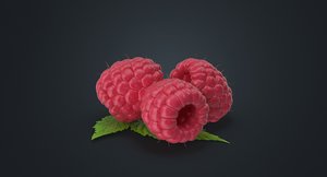 realistic raspberry fruit 3D model
