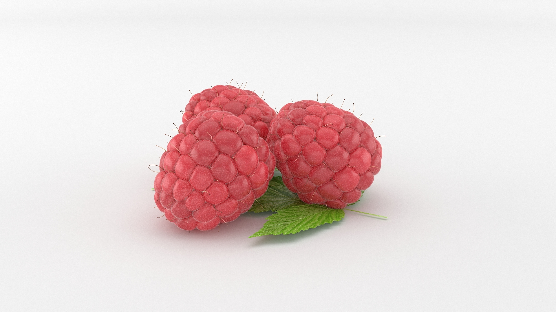 realistic raspberry fruit 3d model