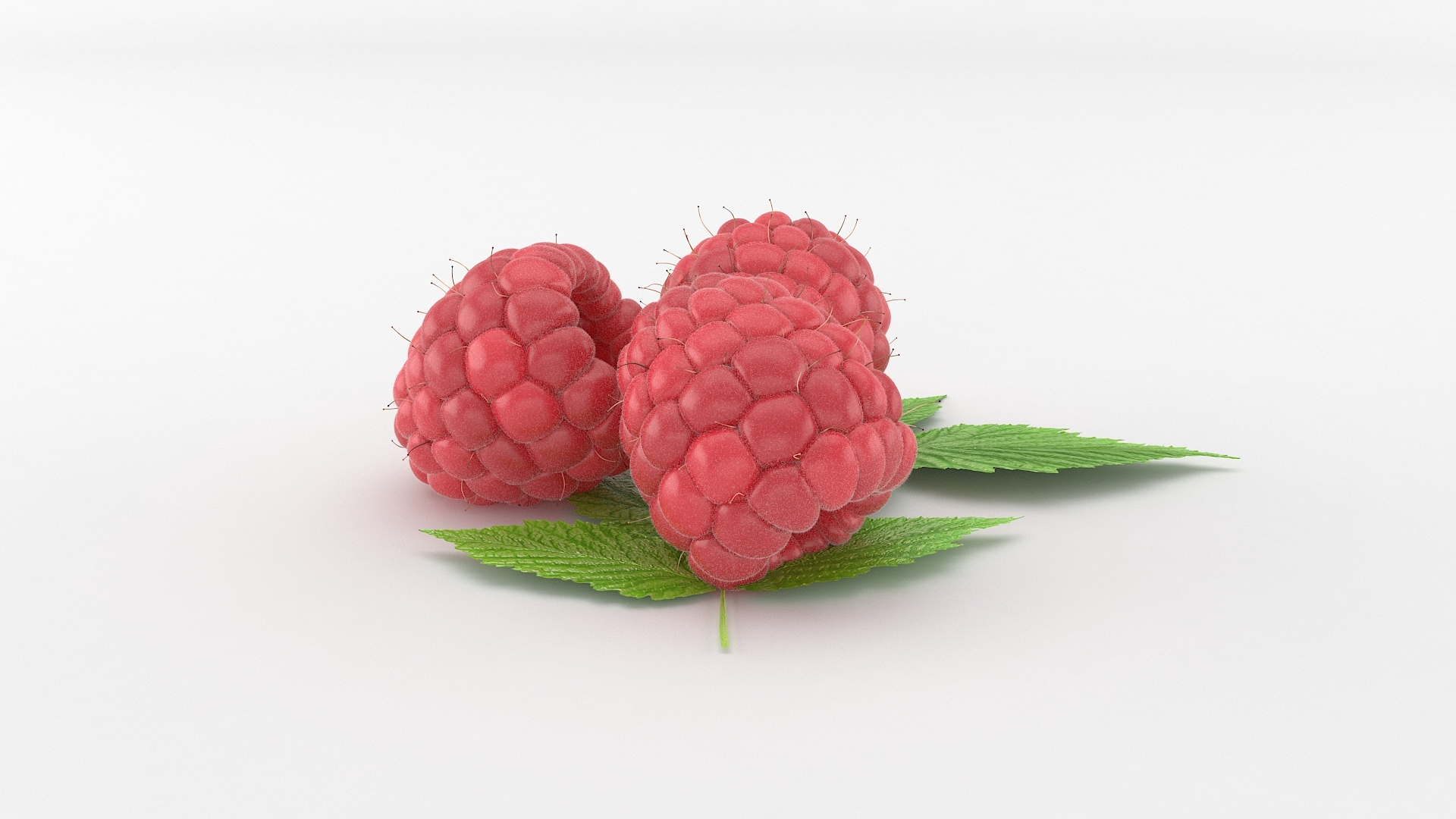 realistic raspberry fruit 3d model