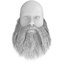 3D model beard 15