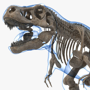 large t rex skeleton model