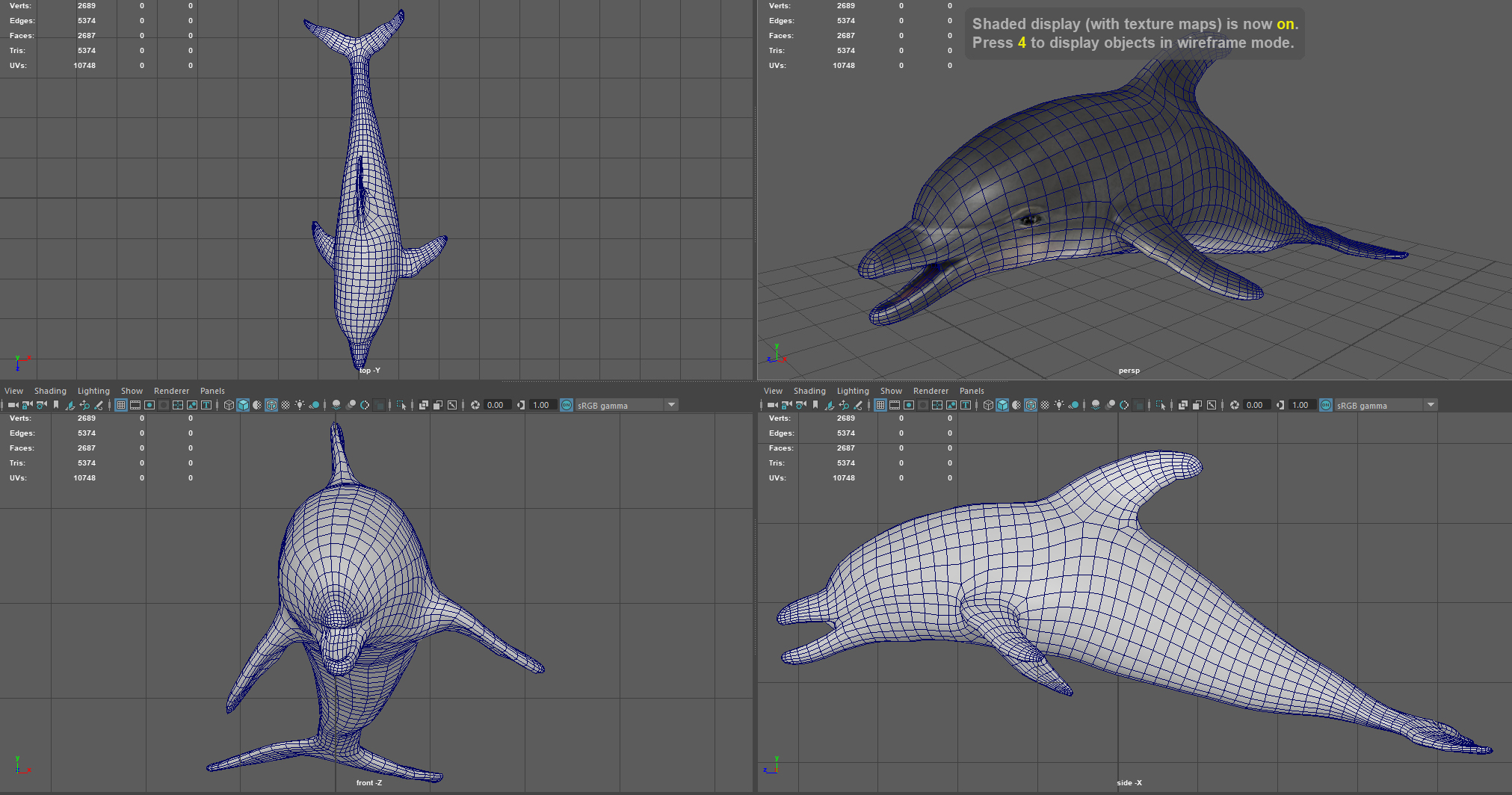 海豚3d模型