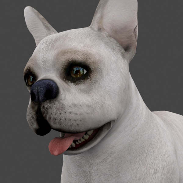 Animated Dog Blender Models for Download TurboSquid