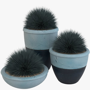 3D deco pot plants model