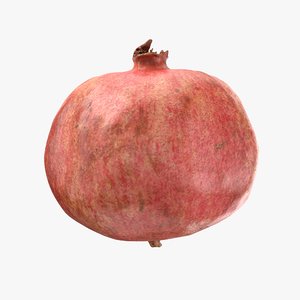 3D pomegranate pbr model