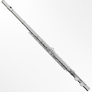 3D model flute