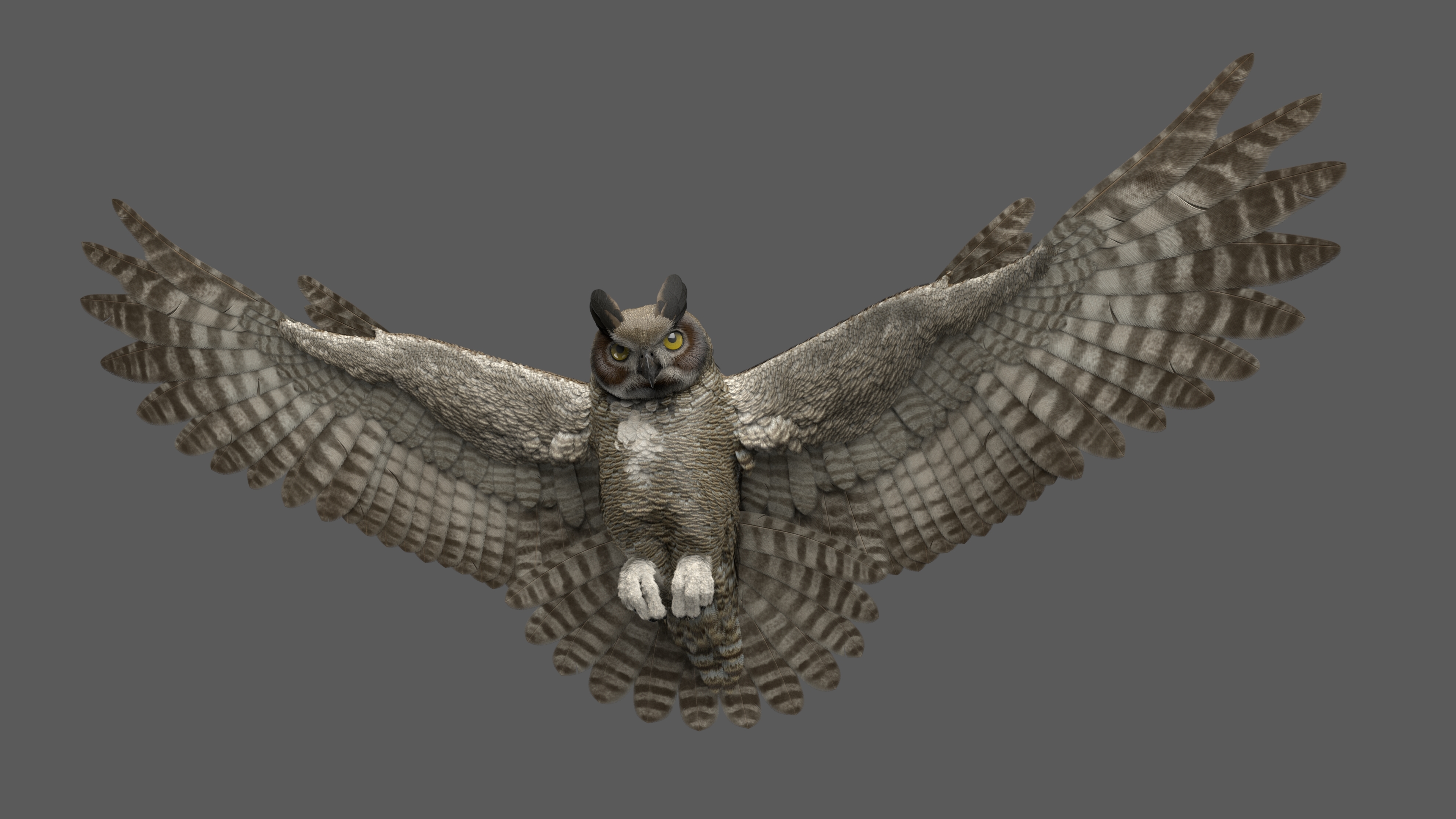 3D great horned owl animation model - TurboSquid 1491030