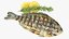realistic grilled fish 3D model