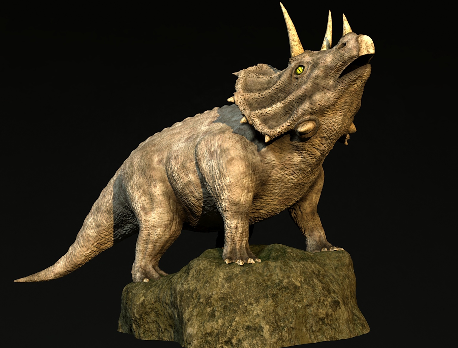 maximum triceratops