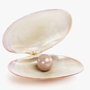 3D clam pearl 1