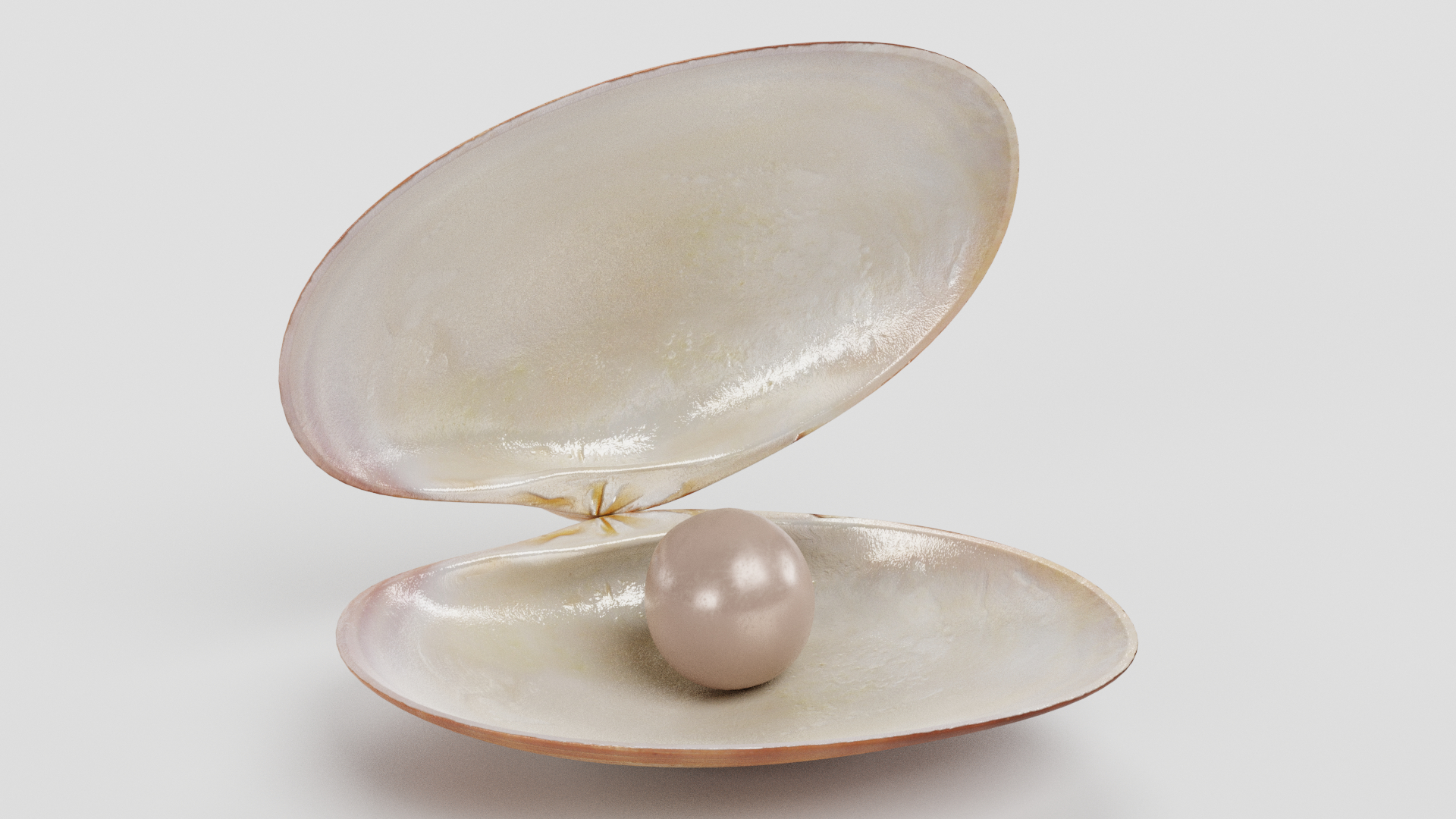 蛤pearl珍珠13d模型