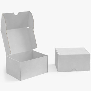 3D cardboard box 05 rigged