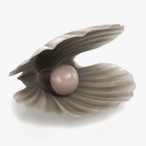 clam pearl 3D model