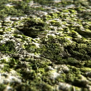 Moss Covered Stone_001