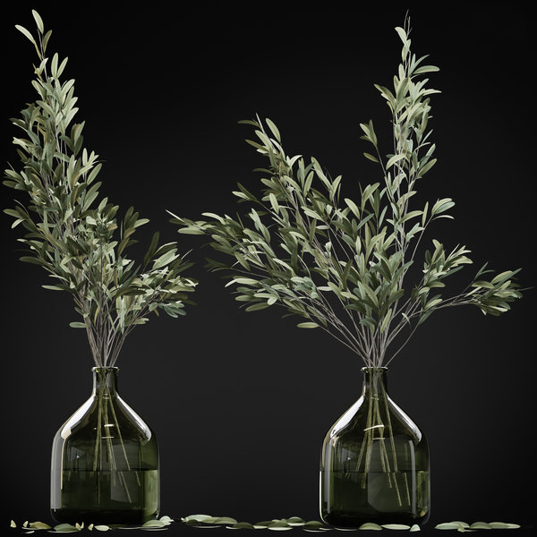 Olive glass model
