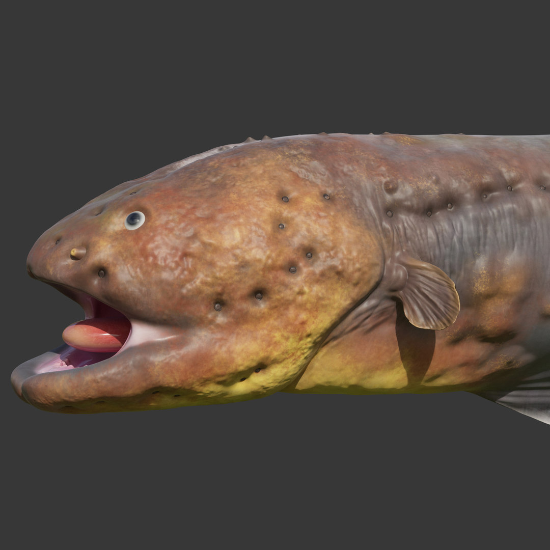 Electric eel rigged animal 3D model - TurboSquid 1492078